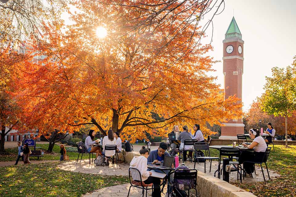 Students sit at tables outside on campus. The clock tower can be seen behind them and a tree with fall leaves over them.