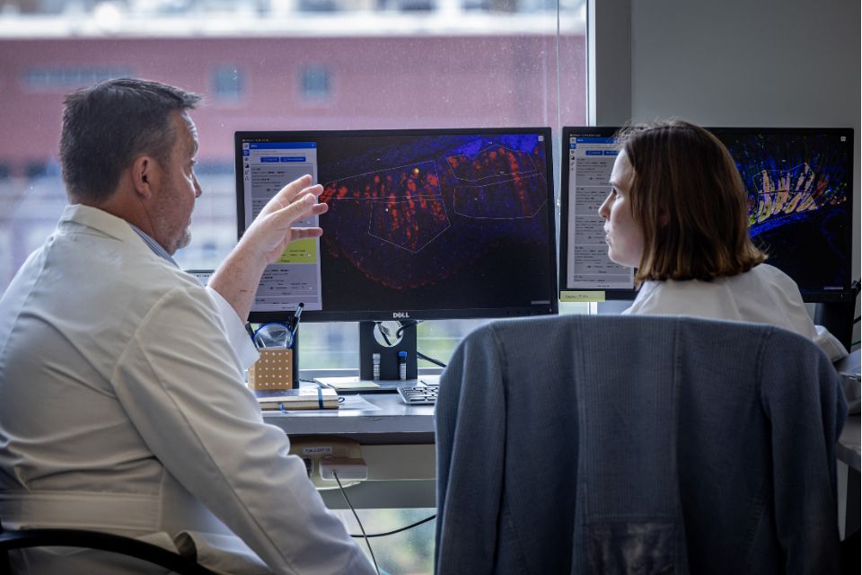 A professor and student discuss research data