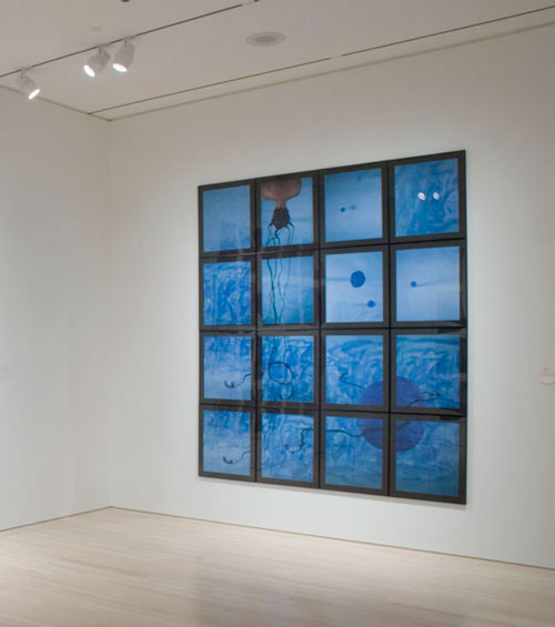 An artwork by Maria Magdalena Campos-Pons titled, Elevata. A grid of sixteen photos suggests a watery environment across which float various forms, including a photograph taken behind of a woman, upside-down, with her braided hair dangling down.