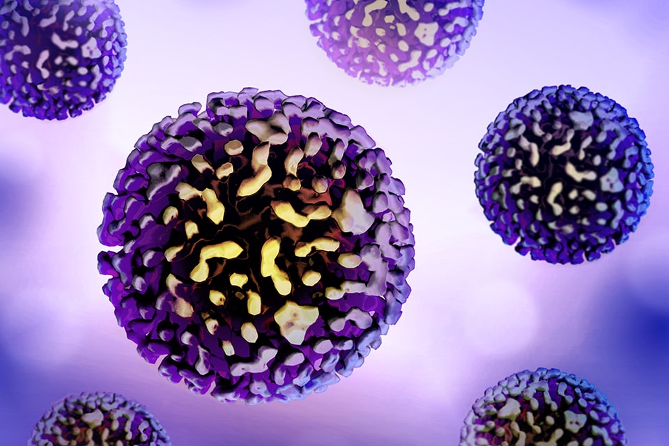 An graphic of a virus against a purple background.